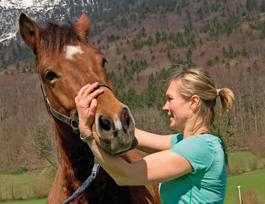 Ziel der Osteopathie